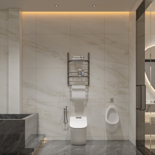 现代别墅负一卫生间单张