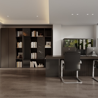 现代办公室总裁办