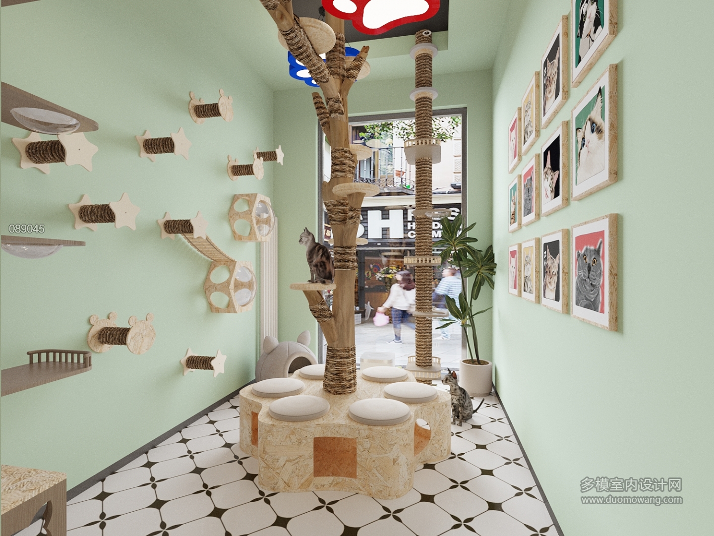 现代猫舍特写 (2)