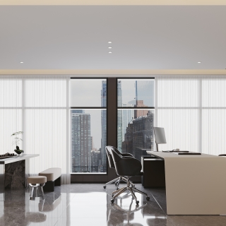 现代总裁办公室