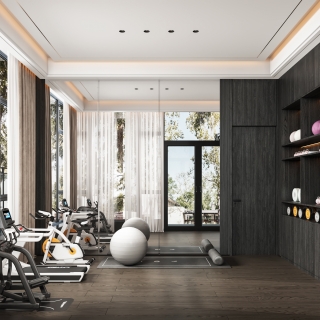 轻奢健身区