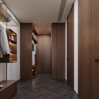 现代轻奢衣帽间特写