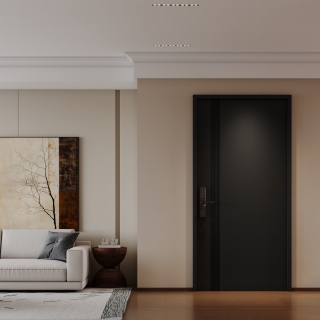 中古客厅特写 (1)