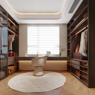 现代轻奢衣帽间特写