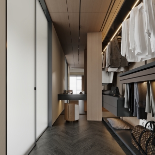 现代轻奢衣帽间特写