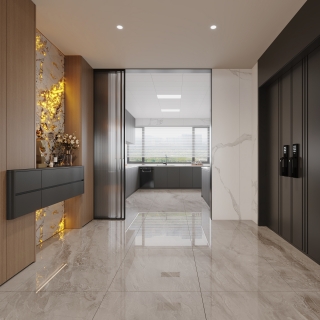 现代玄关