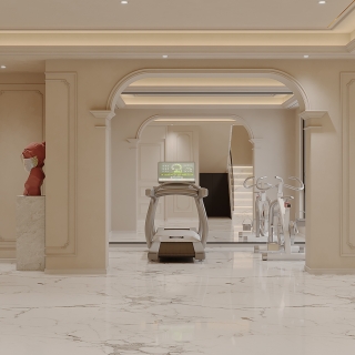 法式负二层特写