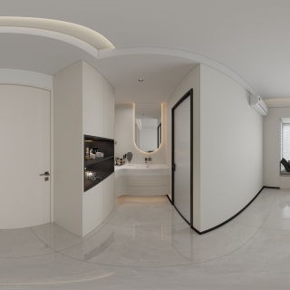 现代极简-主卫干区