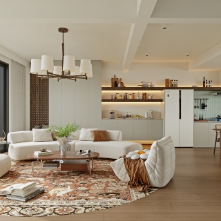 多彩一号_一层客厅001