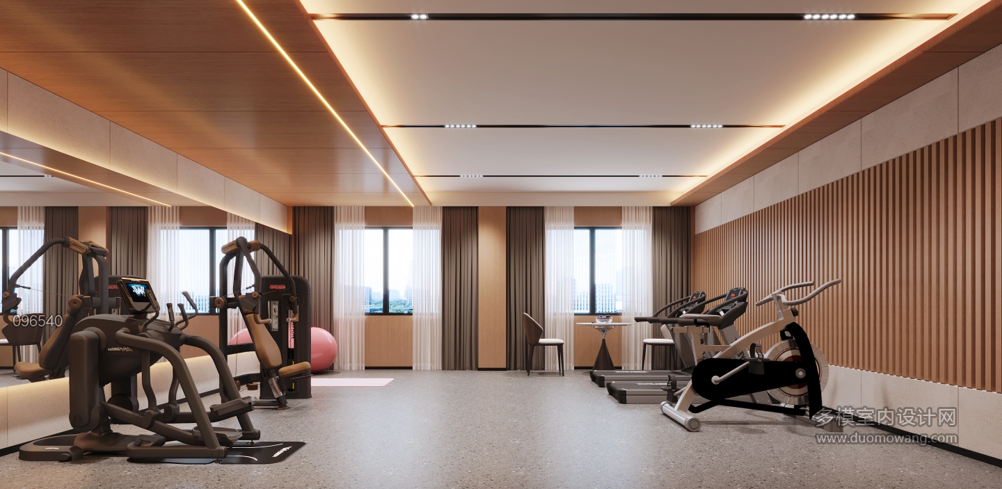 健身房 拷贝