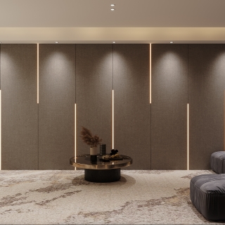 现代影音室特写