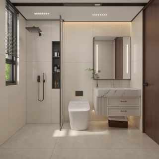 现代中古卫生间