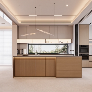 现代一层中岛特写