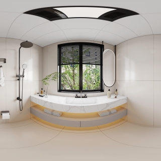 10现代主卫全景