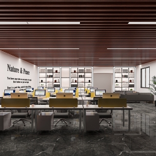 办公室全景一个22_Camera002