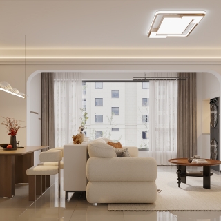 现代客餐厅特写1