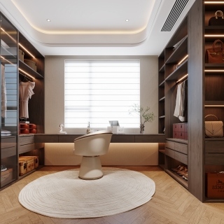 现代轻奢衣帽间特写