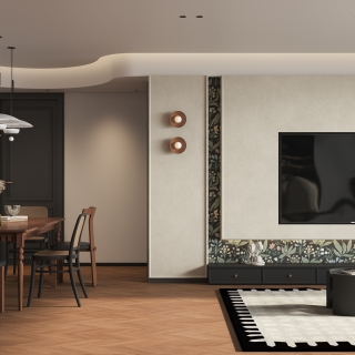 法式电视墙特写