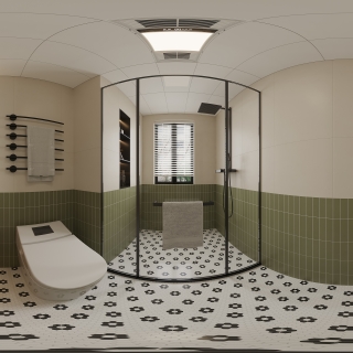 中古风主卫全景