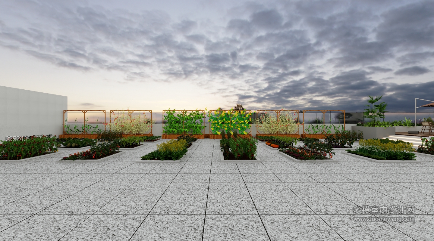 现代3号楼10层菜地