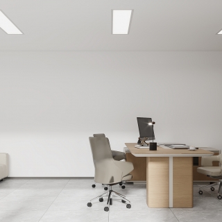 现代党支部书记11