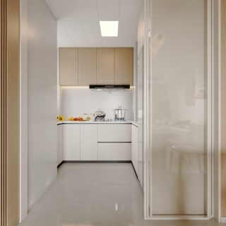 时代佳园_沙发厨房