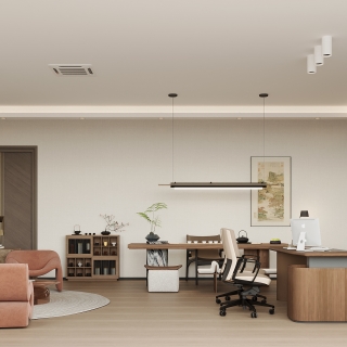 李上海-办公室大图 现代