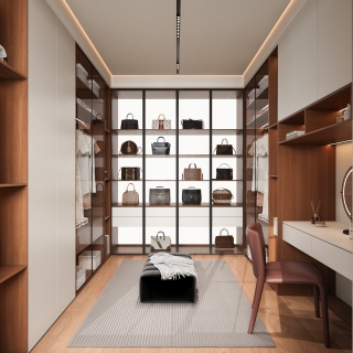 现代中古衣帽间