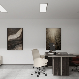 现代党支部书记