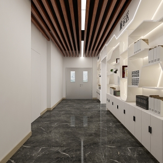 办公室全景一个22_Camera005