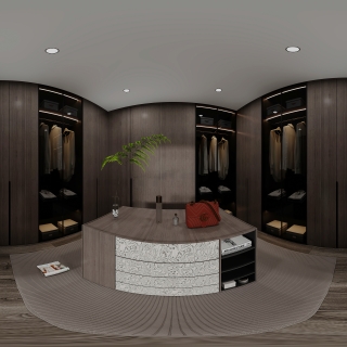 现代衣帽间全景