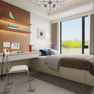 现代儿子房特写