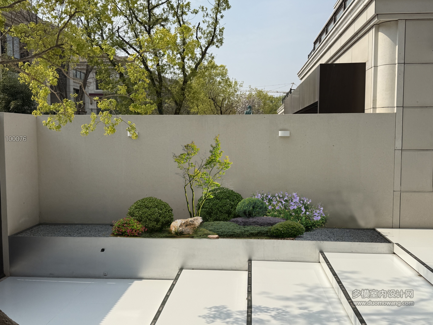 植物p图2