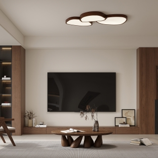 中古_1电视背景_0000