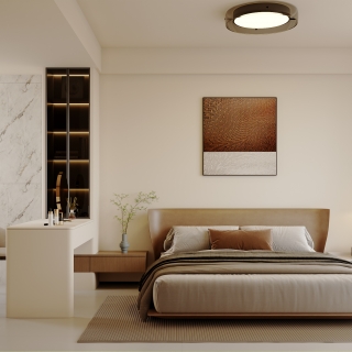 万能模板(2024)_单张主卧