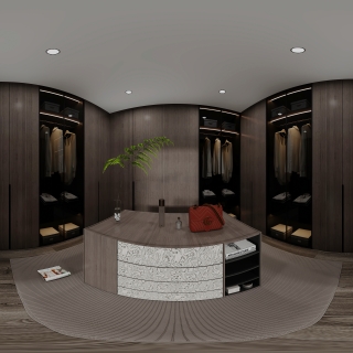 现代衣帽间全景