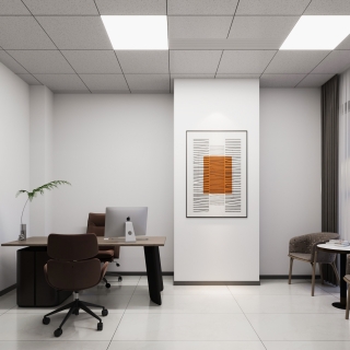 副总办公室特写