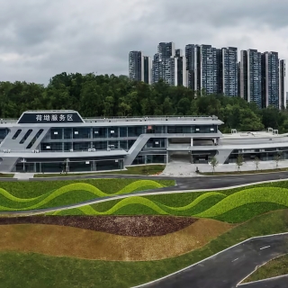植物p图