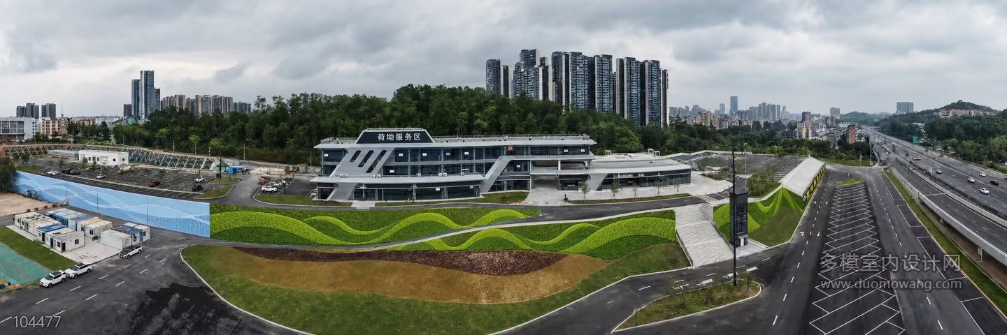 植物p图