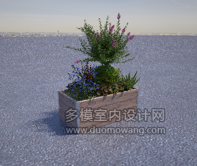 花箱透视1