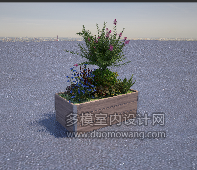 花箱透视1