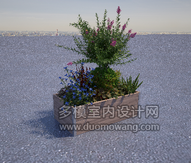 花箱透视1