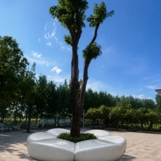 花坛方案1透视