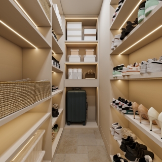 现带中古入户衣帽间