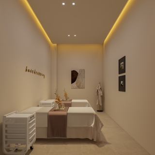 现代vip1
