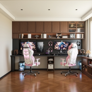 法式中古电竞房