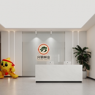 现代办公室前台