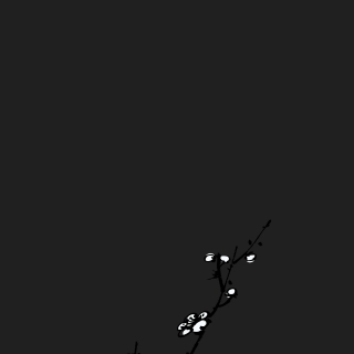 333