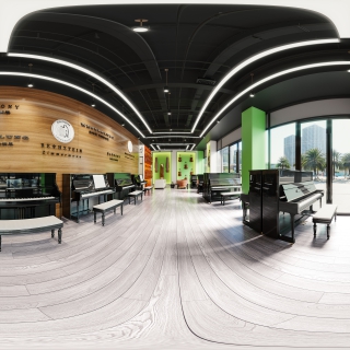 现代乐器专卖店全景