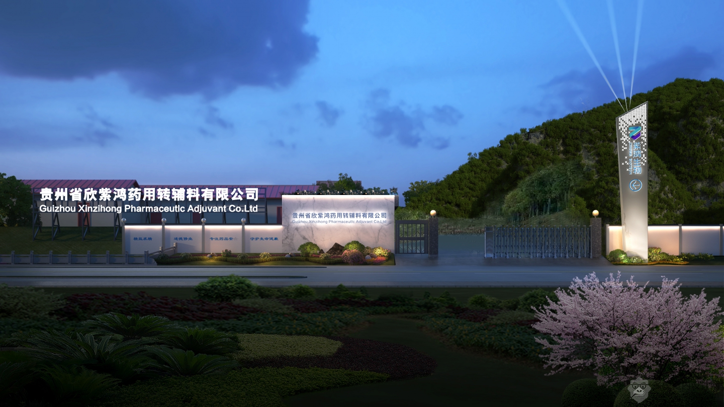 大门夜景透视